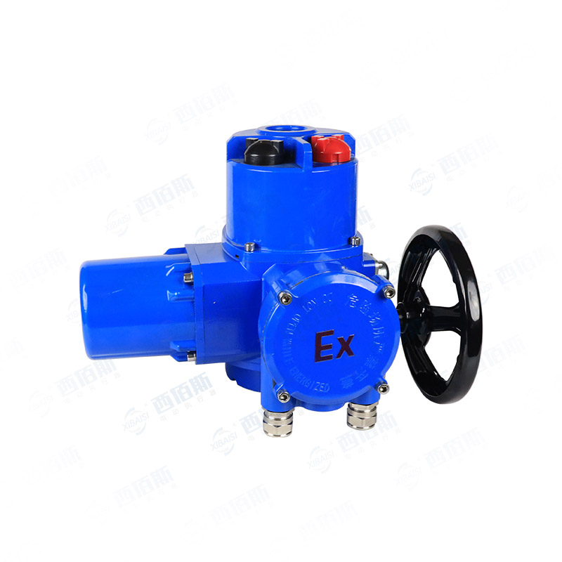 Q10ZH-Q20ZH-防爆智能型