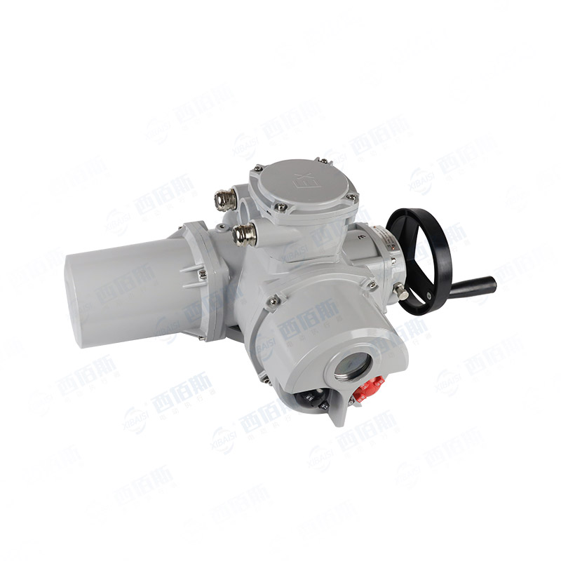 ZB10ZH-ZB30ZH防爆智能型